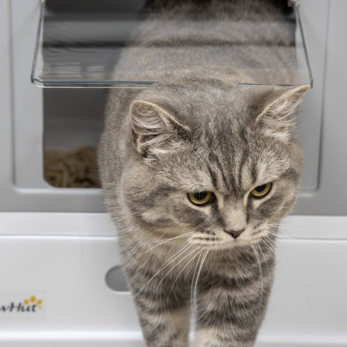 PawHut Hooded Cat Litter Box, Portable Pet Toilet, With Scoop, Front Entry - Grey